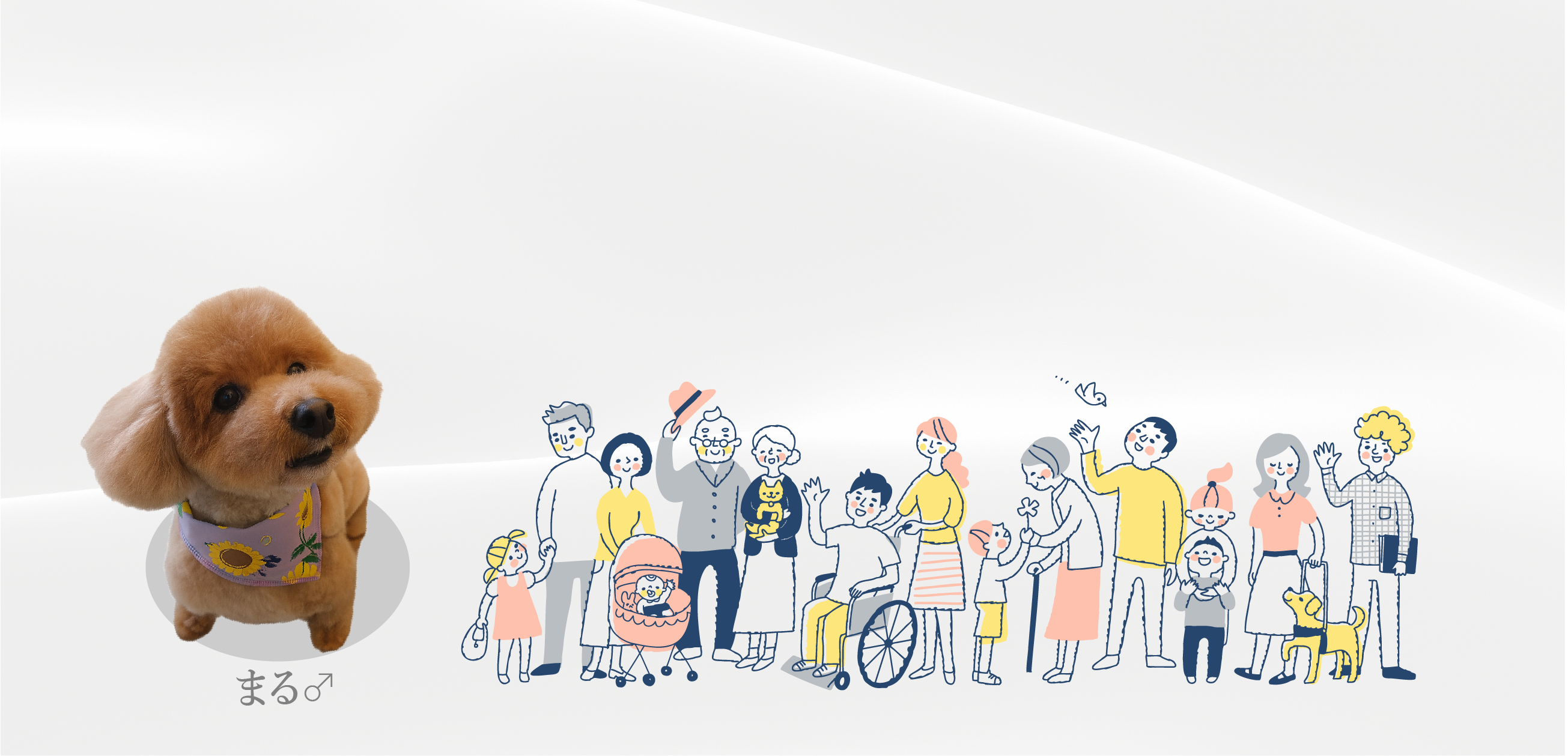 金井社会保険労務士事務所 メインビジュアル